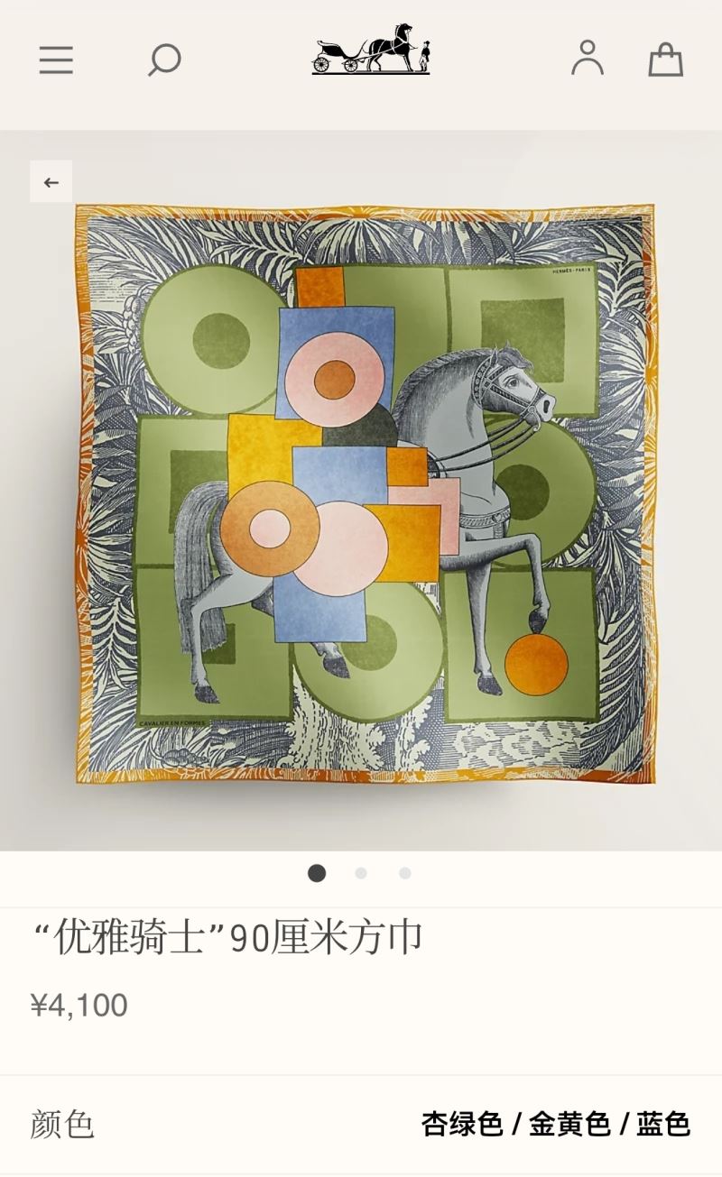 Hermes Scarf